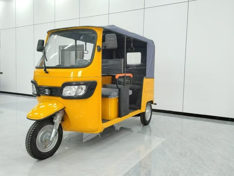 Asia and Africa Markets Passenger Vehicles 6-seater Passenger Tricycle Taxis Tuk-tuks Bajaj 3-wheel Electric Tricycles