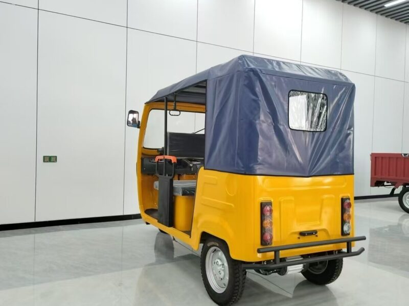 Asia and Africa Markets Passenger Vehicles 6-seater Passenger Tricycle Taxis Tuk-tuks Bajaj 3-wheel Electric Tricycles
