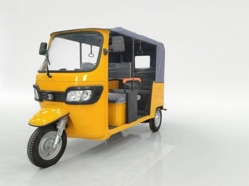 Asia and Africa Markets Passenger Vehicles 6-seater Passenger Tricycle Taxis Tuk-tuks Bajaj 3-wheel Electric Tricycles