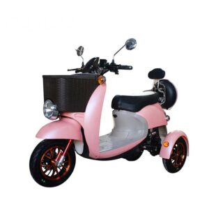 Best Price Electric Passenger Tricycle for Adults with Seat 3-wheel Electric Tricycle