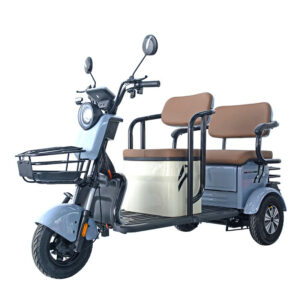 Best Price Electric Tricycle Passenger Transport Car Mini Tricycle 3 Wheel Tricycle Adult Open Body for Passenger