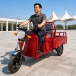 Cargo Electric Tricycle Open Three Wheel Transport Vehicle Two Person Carrier 351-500W 60V 300-12 Tires - image 2
