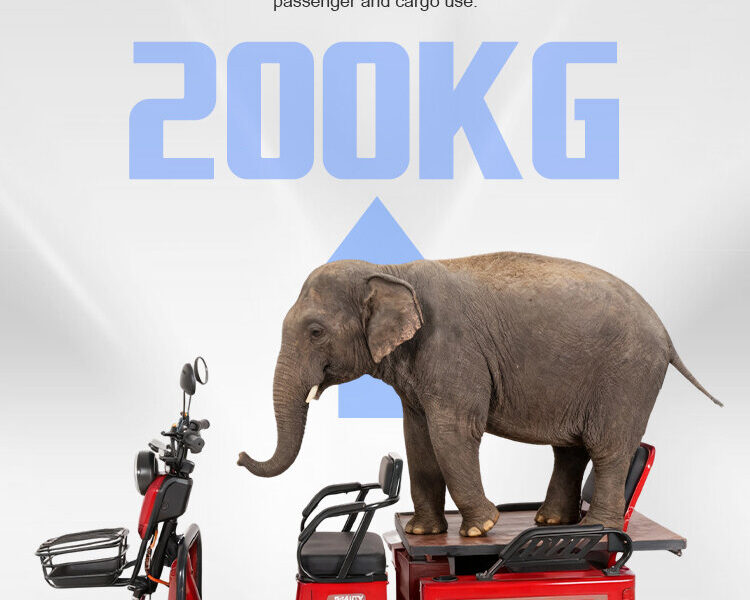 Cargo&Passenger Electric Tricycle – 3-Wheel Electric Scooter with Storage Box &Front Basket for Urban Delivery Family Daily Use
