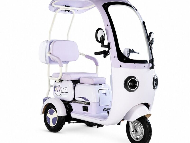 Cheap Beautiful 3 Wheel Electric Pedal Scooter Chopper Tricycle Prices for 2 Adults Passenger Seat Sale at Home with Roof