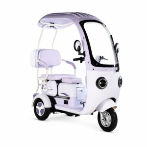 Cheap Beautiful 3 Wheel Electric Pedal Scooter Chopper Tricycle Prices for 2 Adults Passenger Seat Sale at Home with Roof