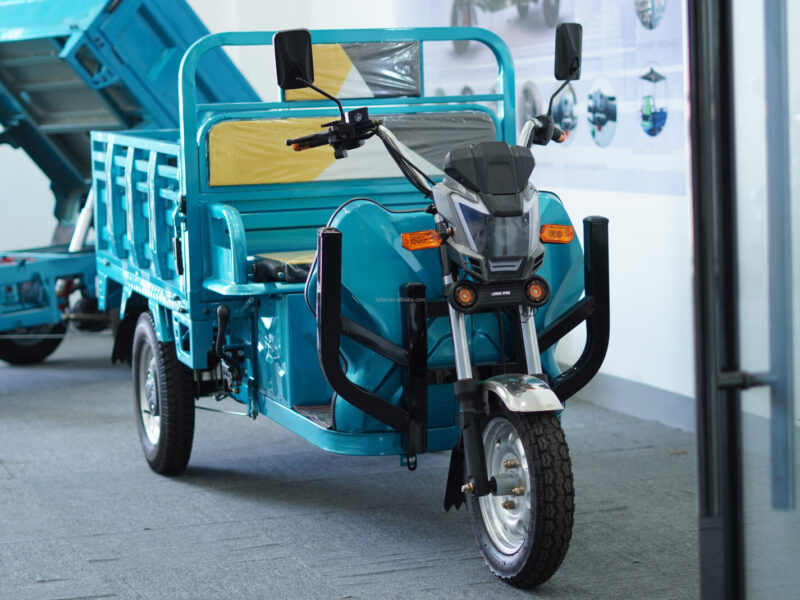 Cheap E-Trikes 3 Wheel Cargo Electric Tricycles Motorcycle Three Wheel Adult