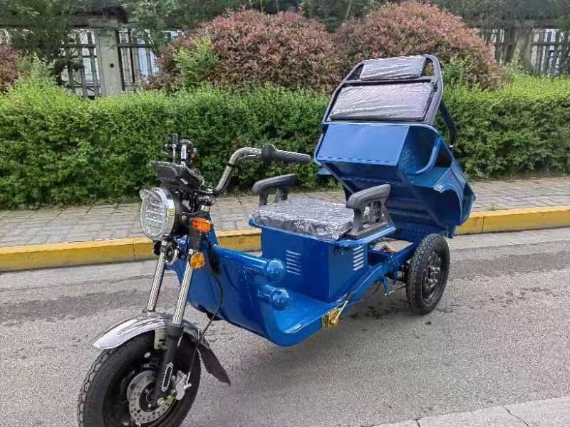 Cheap Three Wheel Electric Tricycle for Adult Electric Tricycle