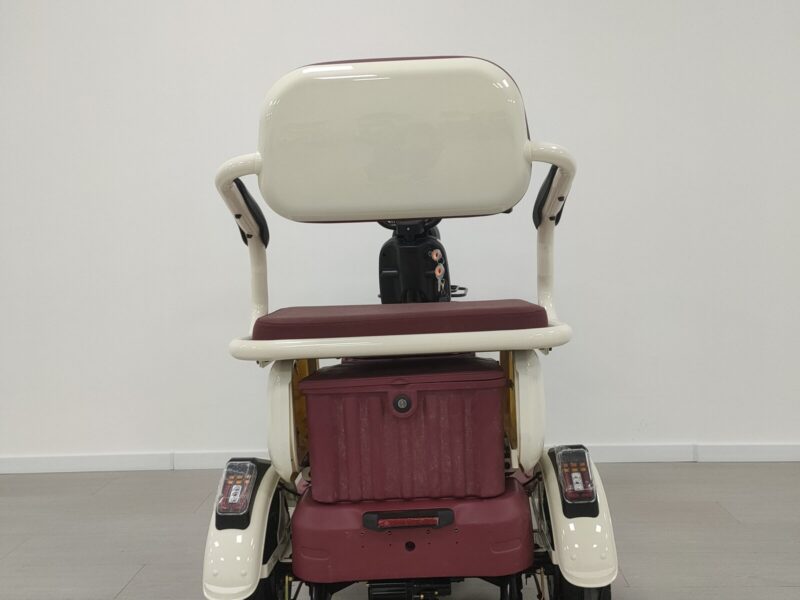 China 3 Wheels Adult Electric Tricycle with Child Seat and Handle Bar EEC Certificate Cheaper E-Trikes Electric Tricycles