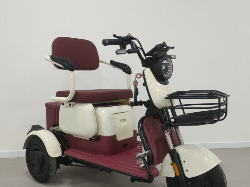 China 3 Wheels Adult Electric Tricycle with Child Seat and Handle Bar EEC Certificate Cheaper E-Trikes Electric Tricycles