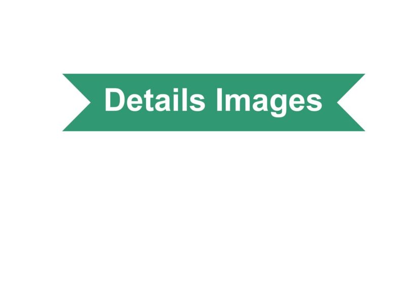 China 3 Wheels Adult Electric Tricycle with Child Seat and Handle Bar EEC Certificate Cheaper E-Trikes Electric Tricycles