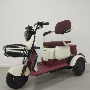 China 3 Wheels Adult Electric Tricycle with Child Seat and Handle Bar EEC Certificate Cheaper E-Trikes Electric Tricycles