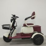 China 3 Wheels Adult Electric Tricycle with Child Seat and Handle Bar EEC Certificate Cheaper E-Trikes Electric Tricycles - image 3