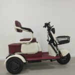 China 3 Wheels Adult Electric Tricycle with Child Seat and Handle Bar EEC Certificate Cheaper E-Trikes Electric Tricycles - image 4