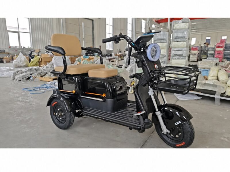 China Made 3-wheel Solar Power Electric Tricycle for Adult 3 Wheels Electric Scooter for Elderly Passengers on Sale