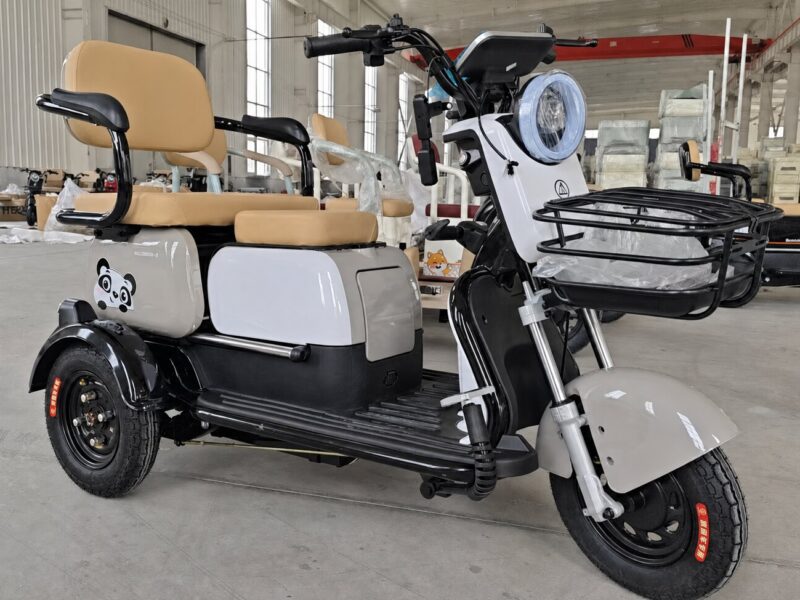 China Made 3-wheel Solar Power Electric Tricycle for Adult 3 Wheels Electric Scooter for Elderly Passengers on Sale
