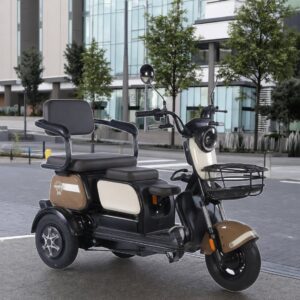 China Made 3-wheel Solar Power Electric Tricycle for Adult 3 Wheels Electric Scooter for Elderly Passengers on Sale