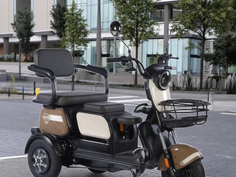 China Made 3-wheel Solar Power Electric Tricycle for Adult 3 Wheels Electric Scooter for Elderly Passengers on Sale
