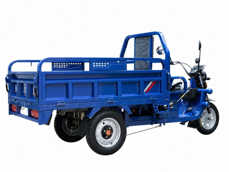 Custom Electric Cargo Tricycle 1000W Power 60V Voltage Iron Steel Cargo Trike Electric Tricycle
