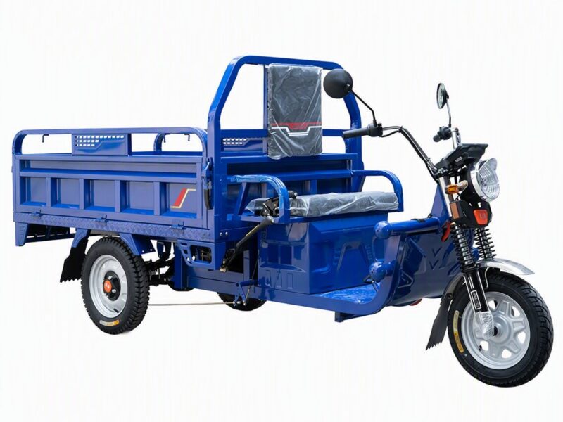 Custom Electric Cargo Tricycle 1000W Power 60V Voltage Iron Steel Cargo Trike Electric Tricycle