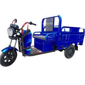 Electric Cargo Three Wheel Scooter Open Body High Payload 400kg 30Km/h 60V for Sale Best Price