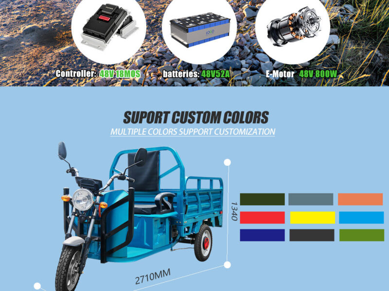 Electric Cargo Tricycle 800W EEC 400KG Load Carrying Capacity Load Open Type Electric 3 Wheel Tricycle