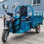 Electric Cargo Tricycle 800W EEC 400KG Load Carrying Capacity Load Open Type Electric 3 Wheel Tricycle - image 2