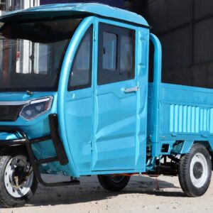 Electric Cargo Tricycle for Adult Electric Tricycles 3 Wheel Electric Cargo Bike
