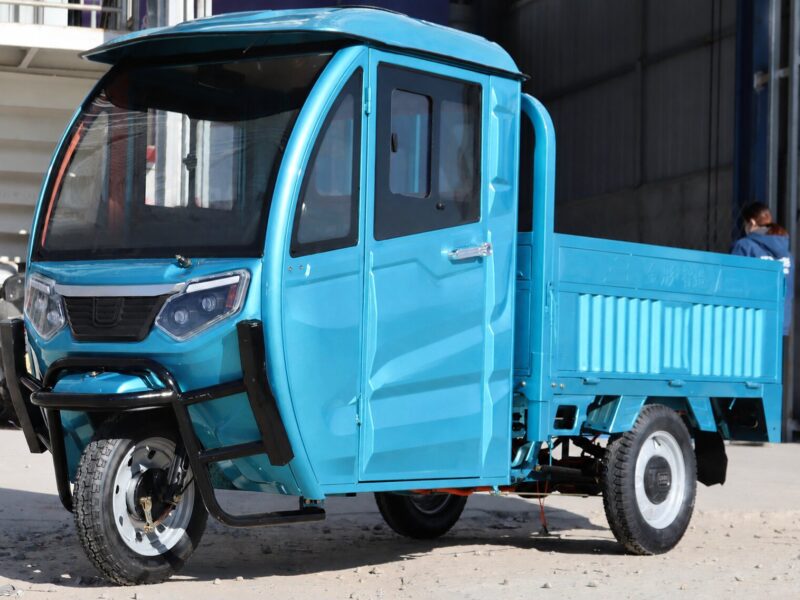 Electric Cargo Tricycle for Adult Electric Tricycles 3 Wheel Electric Cargo Bike