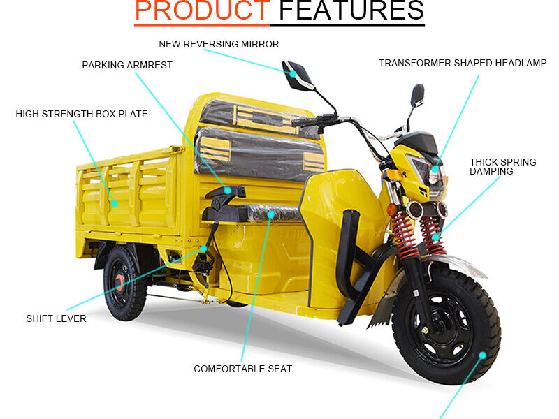 Electric Cargo Tricycle Triciclo Electrico Adult Tricycle for Sale Buy One Get One