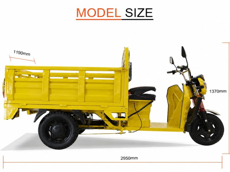 Electric Cargo Tricycle Triciclo Electrico Adult Tricycle for Sale Buy One Get One