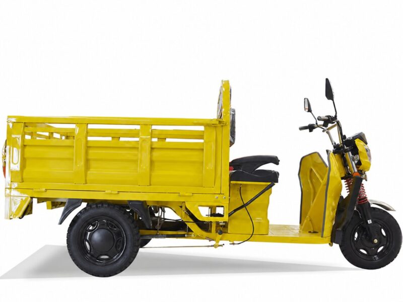 Electric Cargo Tricycle Triciclo Electrico Adult Tricycle for Sale Buy One Get One