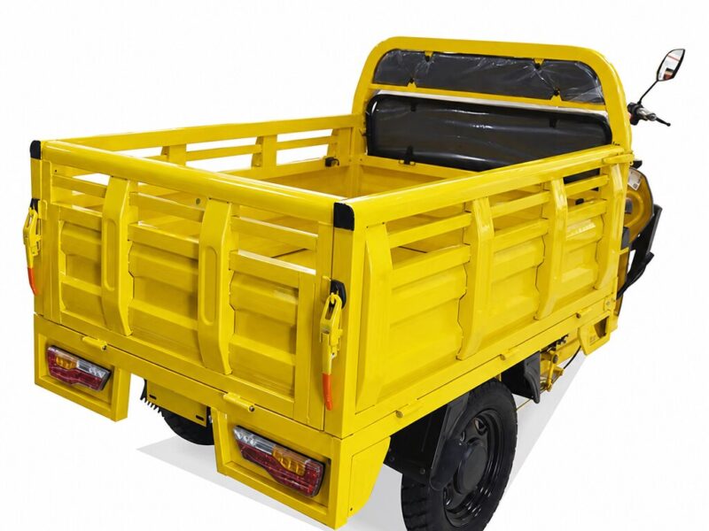Electric Cargo Tricycle Triciclo Electrico Adult Tricycle for Sale Buy One Get One