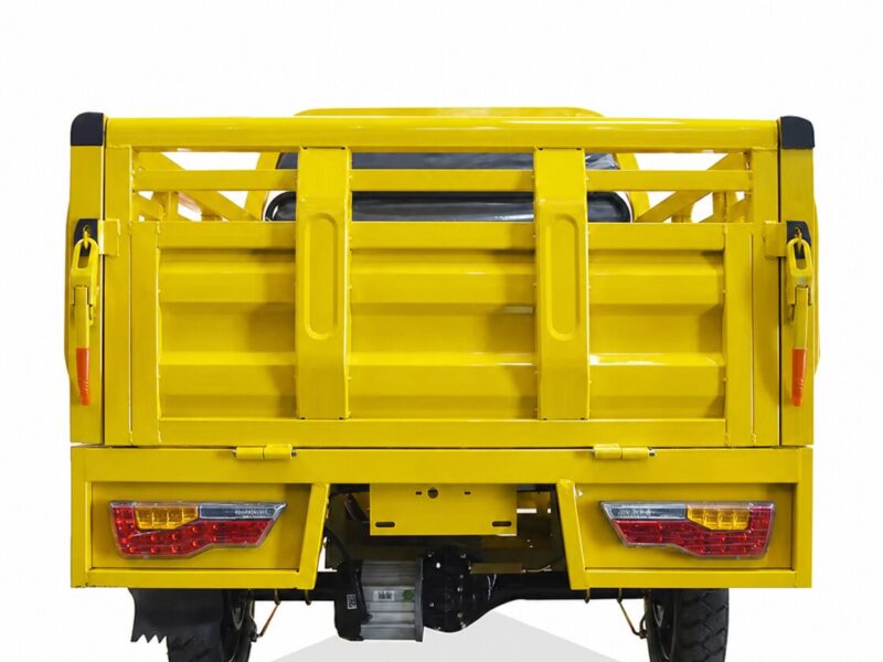 Electric Cargo Tricycle Triciclo Electrico Adult Tricycle for Sale Buy One Get One