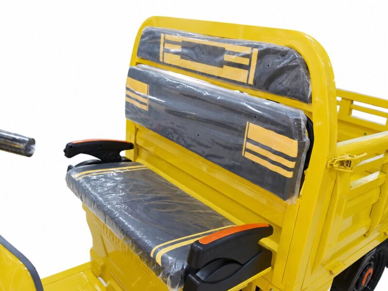 Electric Cargo Tricycle Triciclo Electrico Adult Tricycle for Sale Buy One Get One