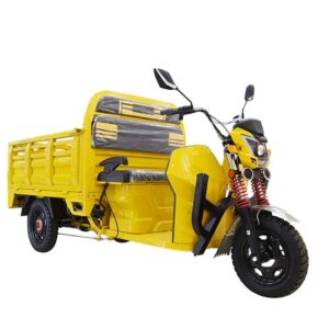 Electric Cargo Tricycle Triciclo Electrico Adult Tricycle for Sale Buy One Get One