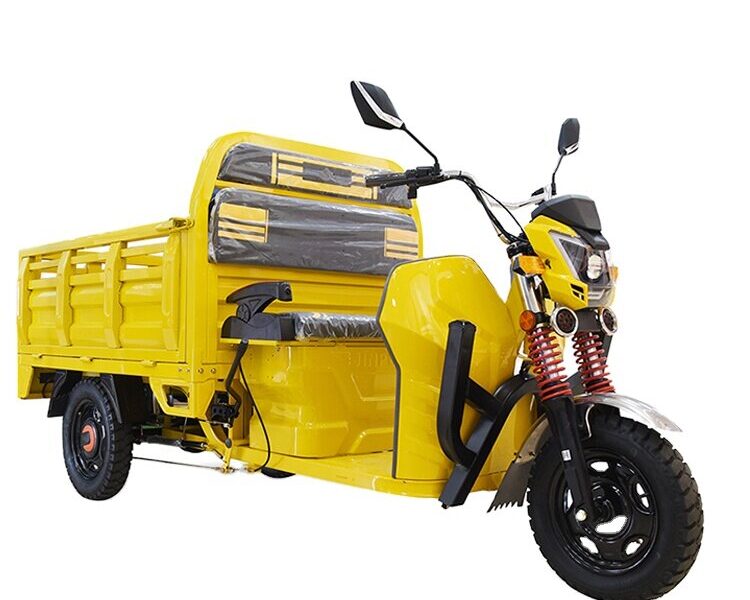 Electric Cargo Tricycle Triciclo Electrico Adult Tricycle for Sale Buy One Get One