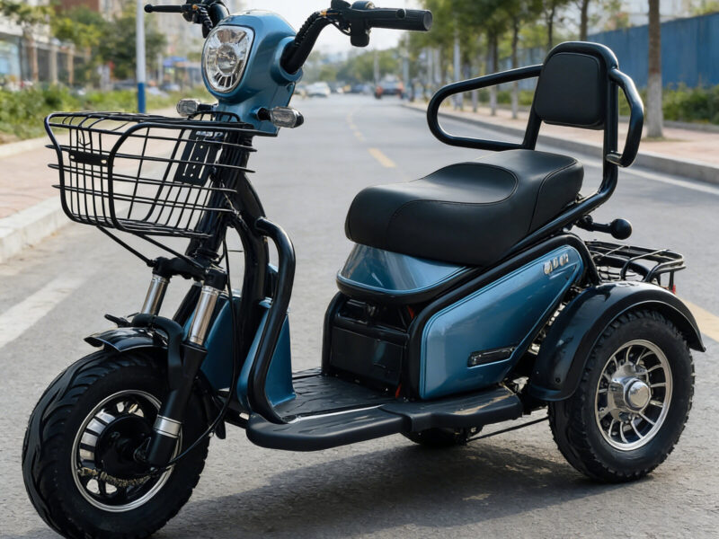 Electric Tricycle 500W 3 Wheel Electric Scooter 12-Tube Controller 2 Seater Mobility Ebike 40km Range for Adult Elderly