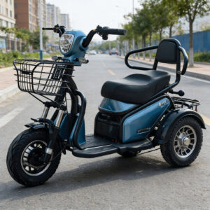Electric Tricycle 500W 3 Wheel Electric Scooter 12-Tube Controller 2 Seater Mobility Ebike 40km Range for Adult Elderly