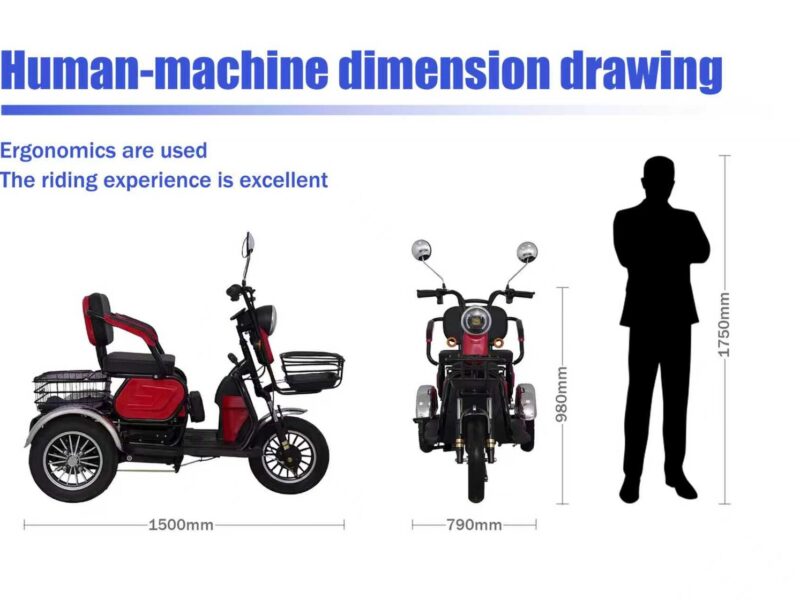 Electric Tricycle Small Special Offer High-end Electric Tricycle 500W 48V 20Ah Battery 3 Seat Electric Tricycles