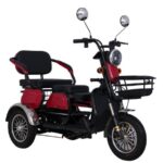 Electric Tricycle Small Special Offer High-end Electric Tricycle 500W 48V 20Ah Battery 3 Seat Electric Tricycles - image 4