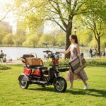 Electric Tricycle Small Special Offer High-end Electric Tricycle 500W 48V 20Ah Battery 3 Seat Electric Tricycles - image 5