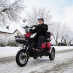 Electric Tricycle Small Special Offer High-end Electric Tricycle 500W 48V 20Ah Battery 3 Seat Electric Tricycles - image 6