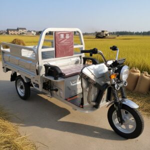 Electric Tricycle Ultra-Long Endurance Express Climbing Slope Self-Discharging Dump Truck Heavy-Duty Agricultural Open Cargo