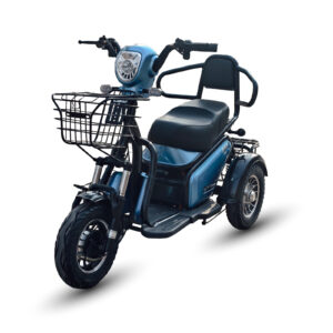 Electric Tricycles 500W 48V 20Ah 2 Seater Electric Leisure Tricycle for Adults 3 Wheel Electric Trike with Drum Brake