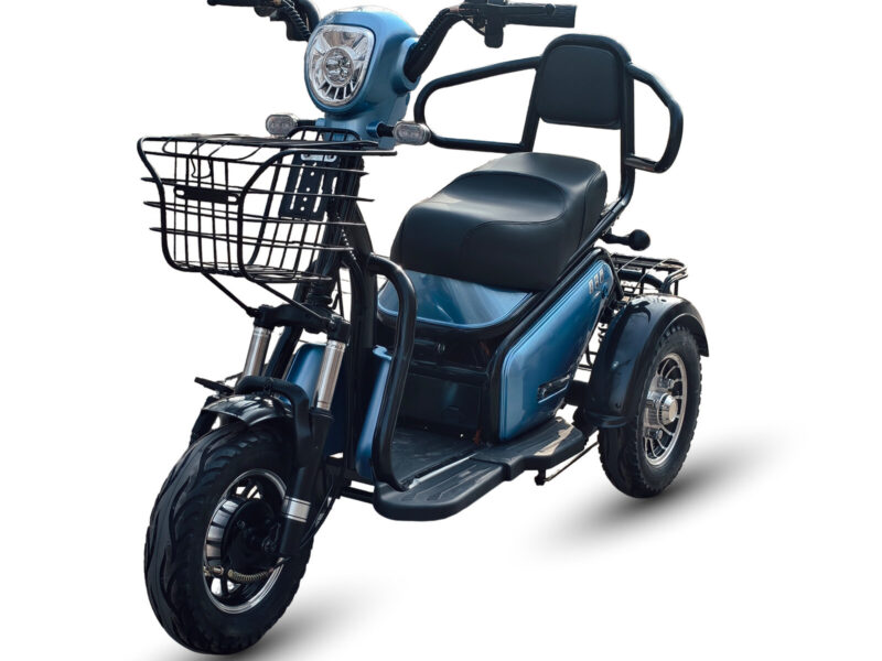 Electric Tricycles 500W 48V 20Ah 2 Seater Electric Leisure Tricycle for Adults 3 Wheel Electric Trike with Drum Brake