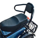 Electric Tricycles 500W 48V 20Ah 2 Seater Electric Leisure Tricycle for Adults 3 Wheel Electric Trike with Drum Brake - image 5