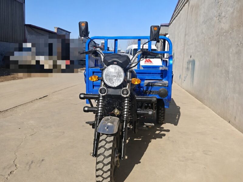 Engine Adult Three Wheel Open Body Gasoline 200cc Cargo Tricycle Passenger Sport Motorized Motorcycle