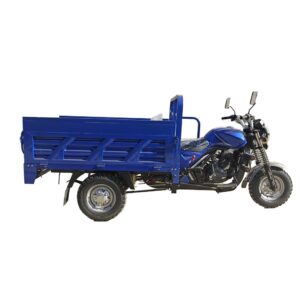 Engine Adult Three Wheel Open Body Gasoline 200cc Cargo Tricycle Passenger Sport Motorized Motorcycle