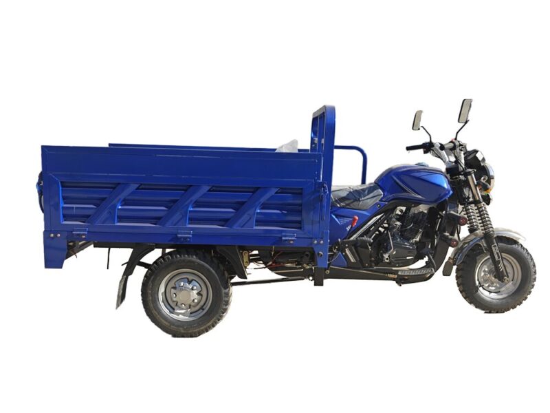 Engine Adult Three Wheel Open Body Gasoline 200cc Cargo Tricycle Passenger Sport Motorized Motorcycle