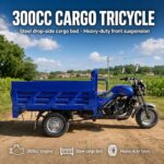 Engine Adult Three Wheel Open Body Gasoline 200cc Cargo Tricycle Passenger Sport Motorized Motorcycle - image 4